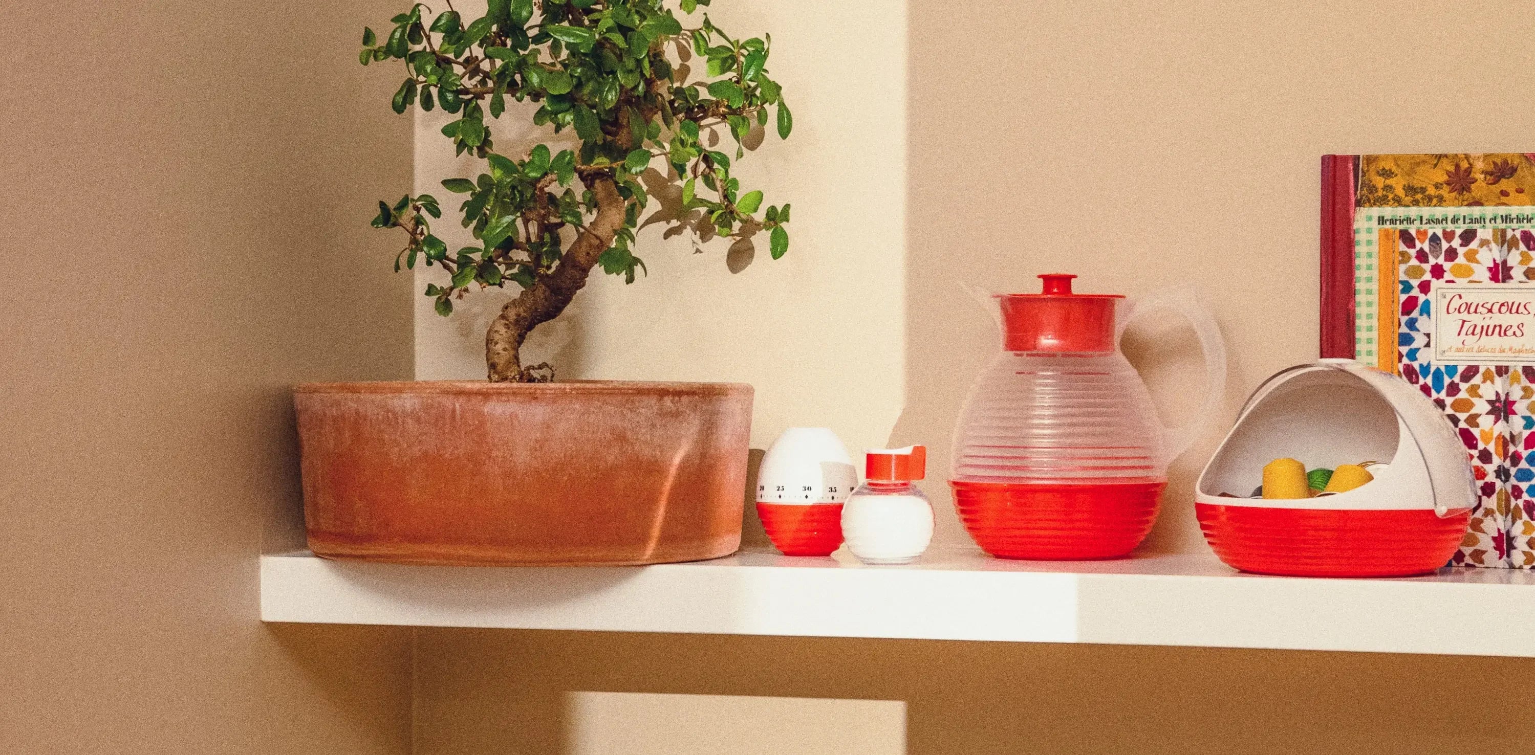 Étagère avec plante en pot et carafe rétro rouge, accessoires vintage pour la maison.