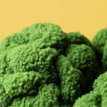 Détail des fleurettes de la peluche Jellycat Amuseables Broccoli
