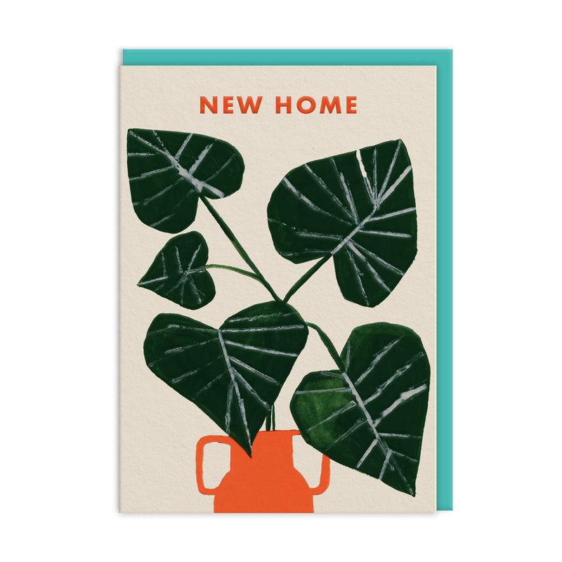 Carte de crémaillère Monstera - Anisa Makhoul