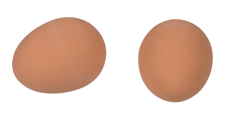 Balle rebondissante en forme d’œuf
