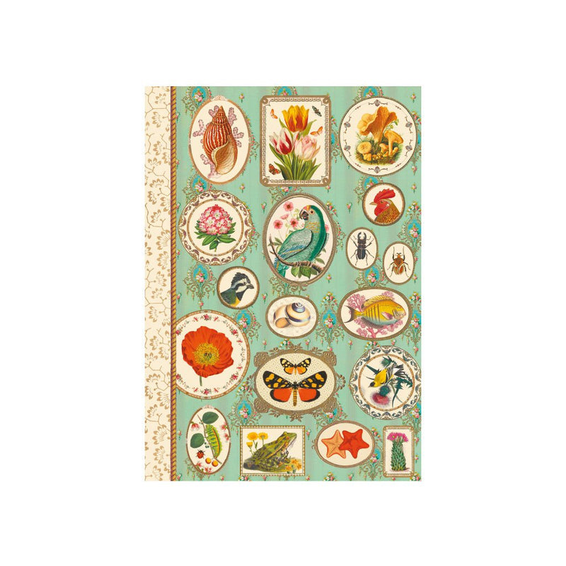 Carnet de mots de passe Nature - 48 pages
