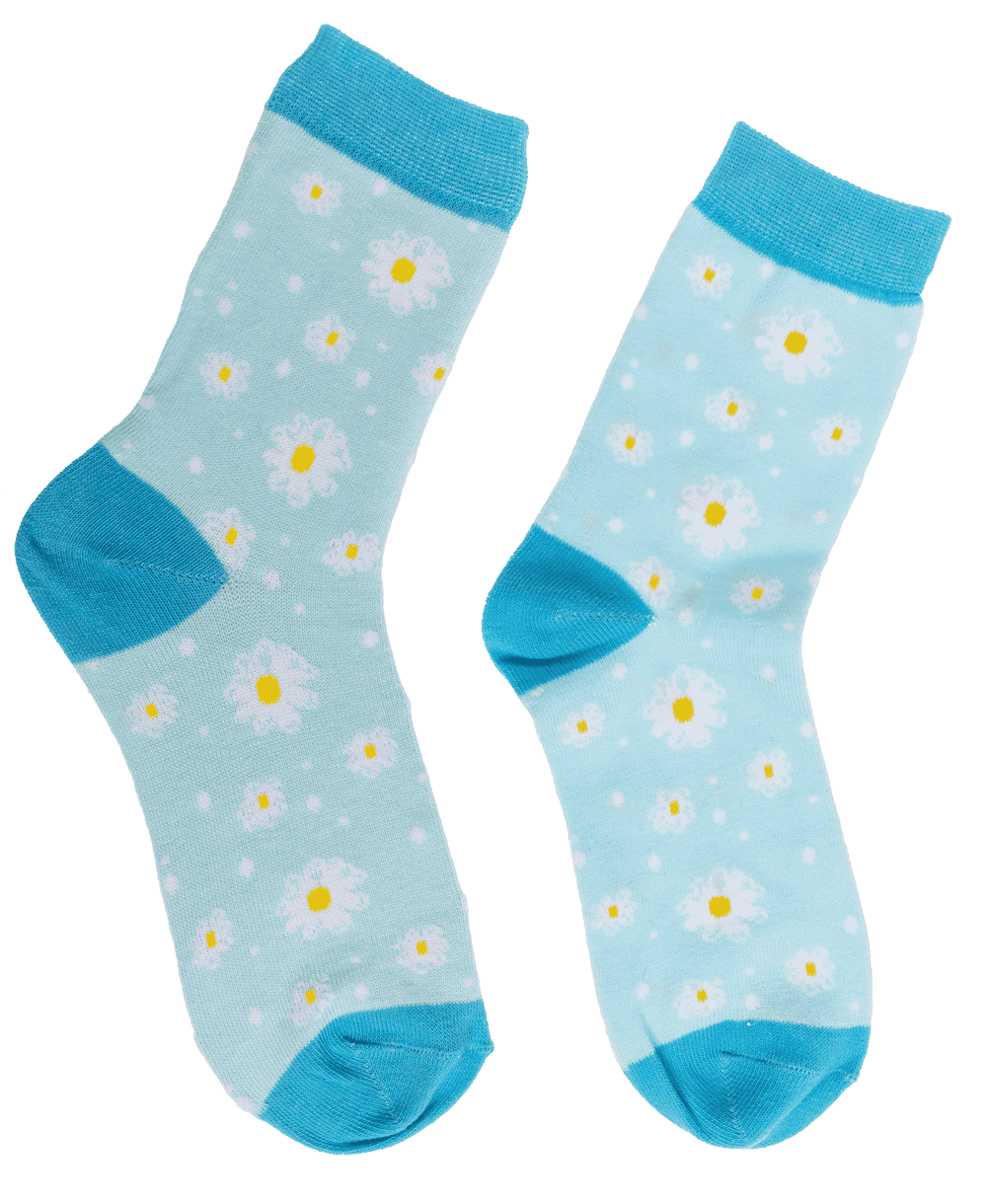 Chaussettes marguerites bleu clair, 36-42