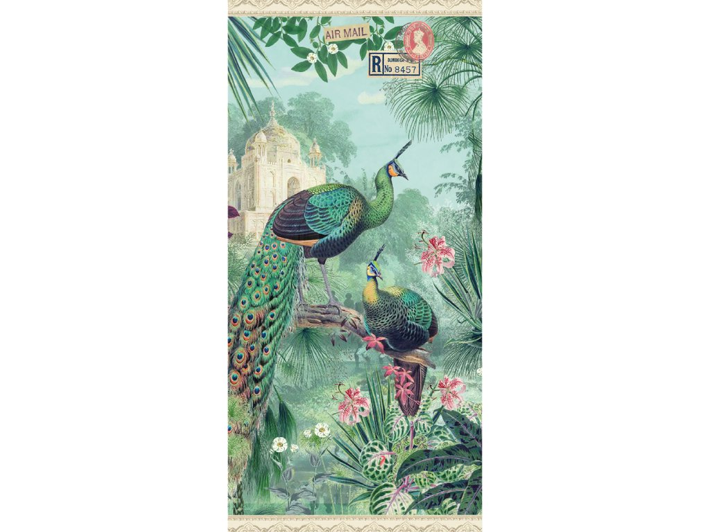 Carte postale Paon et jardin, Gwenaëlle & le studio