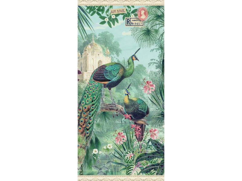 Carte postale Paon et jardin, Gwenaëlle & le studio