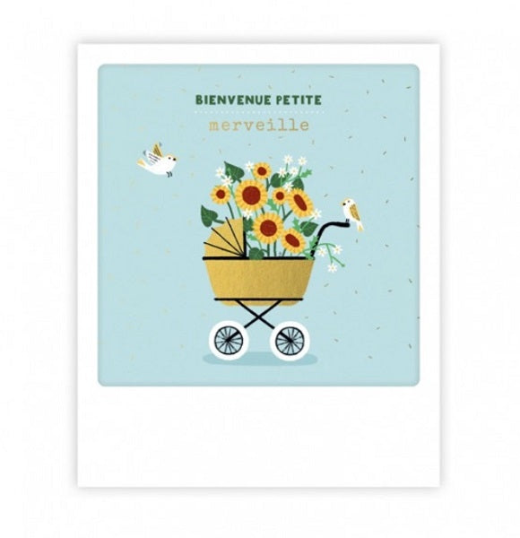 Mini carte de naissance Bienvenue petite merveille