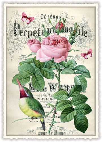 Carte postale Pivoine et oiseau - ACTE TRE