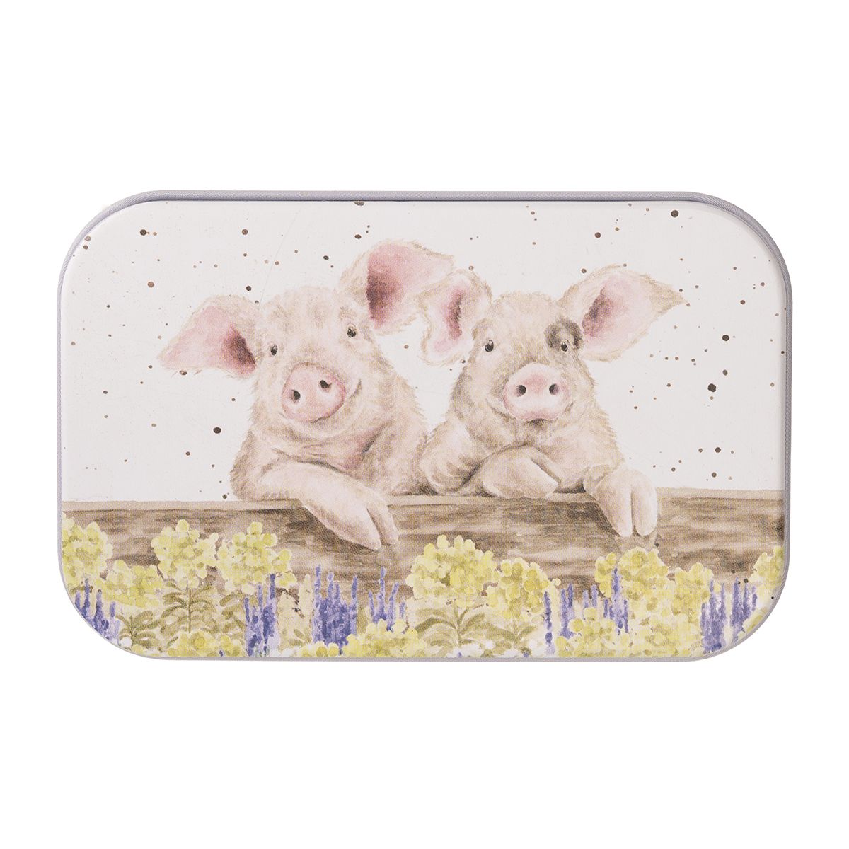 Petite boîte Wrendale Nosy Neigh-boars, motif cochons
