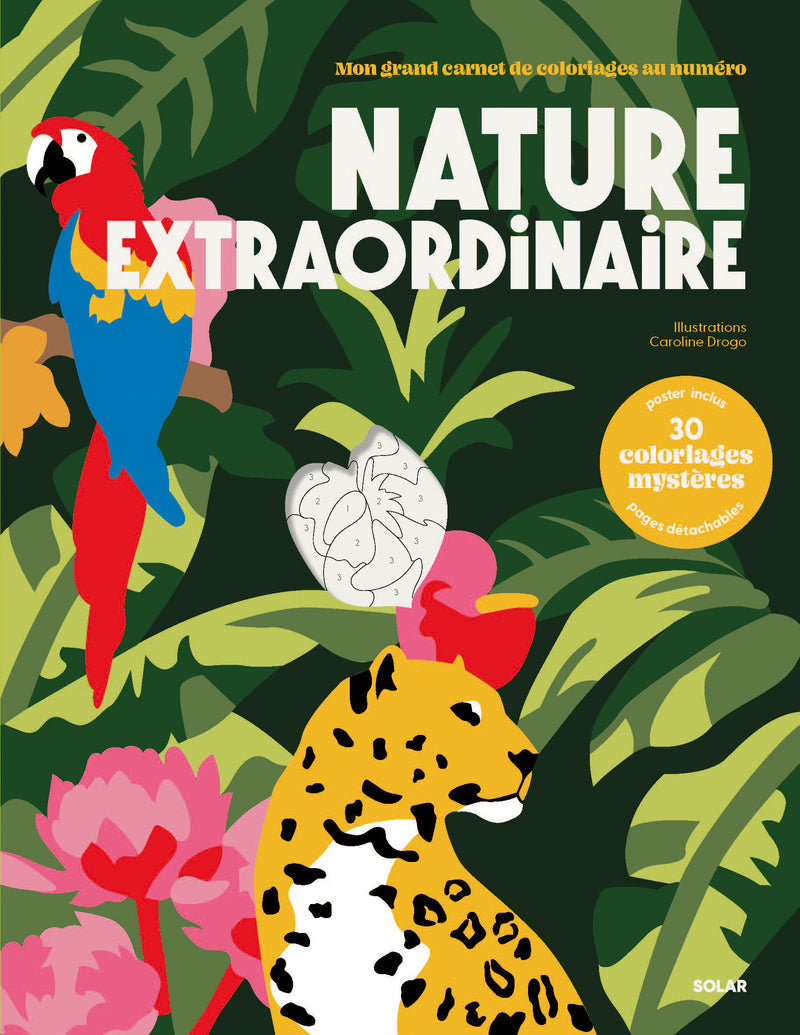 Coloriages au numéro Nature extraordinaire, Solar