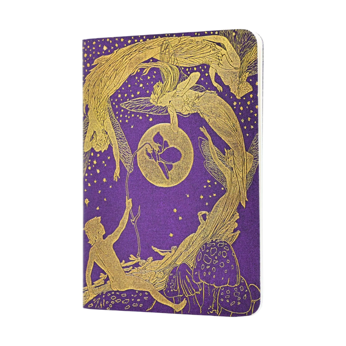Cahier Fée violette A6 ligné : Paperblanks