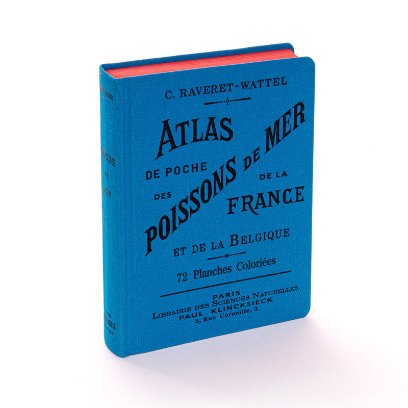 Atlas de poche des poissons de mer - Bibliomane