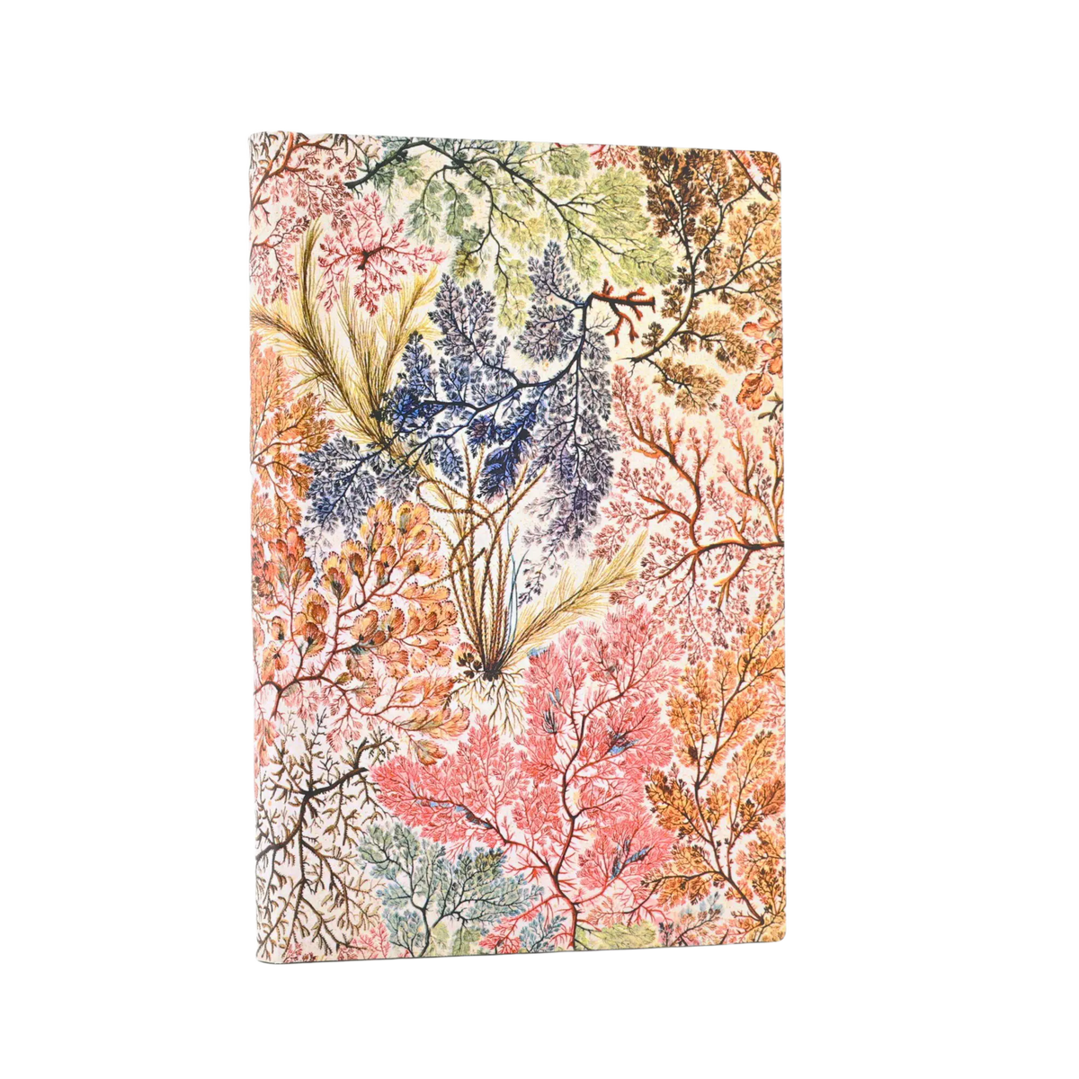Carnet Anémones Mini ligné : Paperblanks
