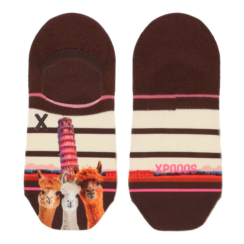 Socquettes invisibles Pisa femme - Xpooos