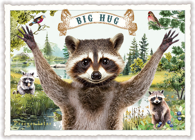 Carte postale Big Hug au raton laveur, ACTE TRE