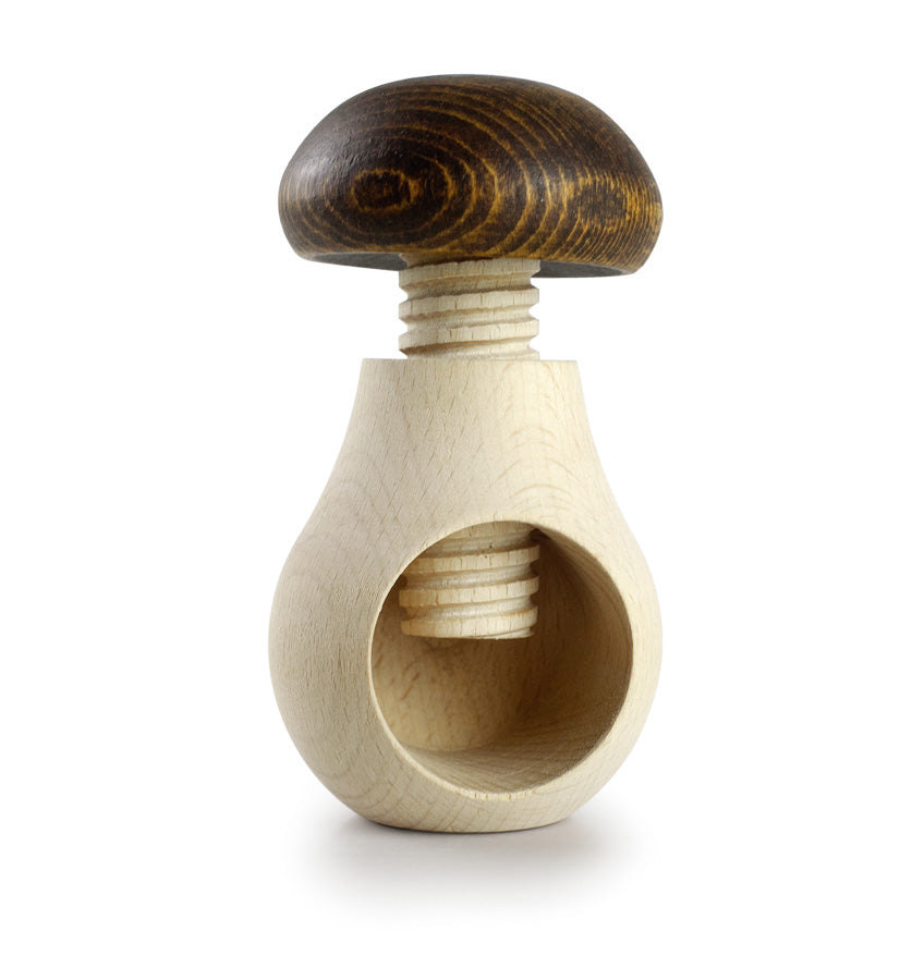 Casse-noix Boletus en hêtre, IBILI