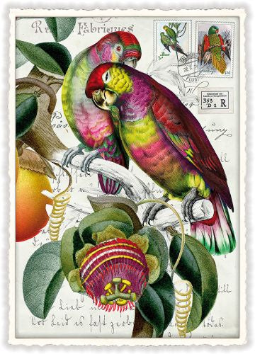 Carte postale perroquets multicolores - ACTE TRE