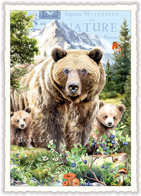Carte postale ours et oursons - ACTE TRE