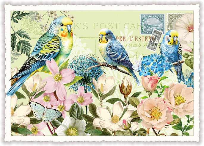 Carte postale White Spring aux perruches, ACTE TRE