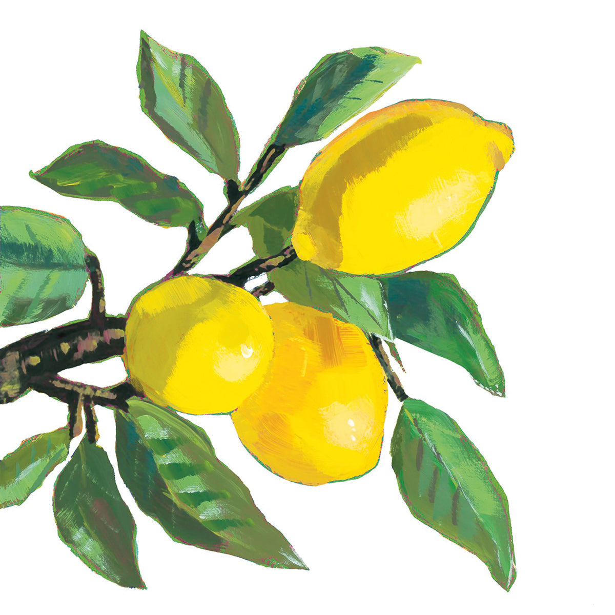 20 serviettes Lemon Musée White 25 cm - PPD